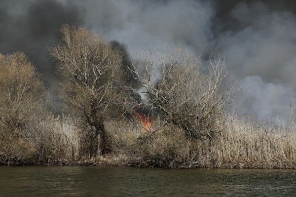 природный пожар(2023)|Фото: пресс-служба правительства Астраханской области