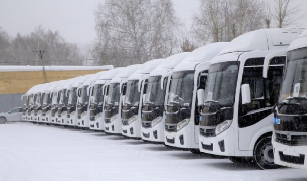 автобусы, пассажирский транспорт(2023)|Фото: пресс-служба правительства Новосибирской области