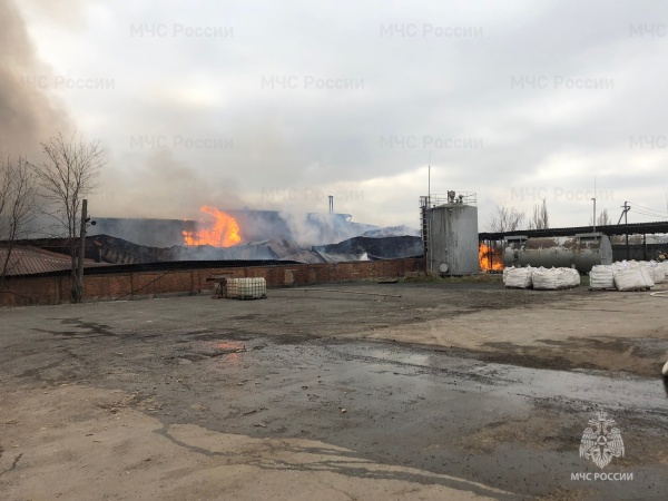 Пожар на складе с целлюлозой в городе Аксай Ростовской области(2023)|Фото: ГУ МЧС по Ростовской области
