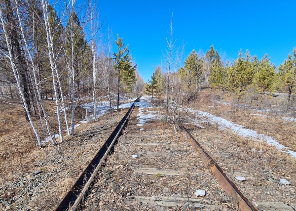 Заброшенная железная дорога(2023)|Фото: Маргарита Нифонтова