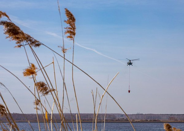 Тушение пожара в Сосьве(2023)|Фото: пресс-служба уральского управления Росгвардии