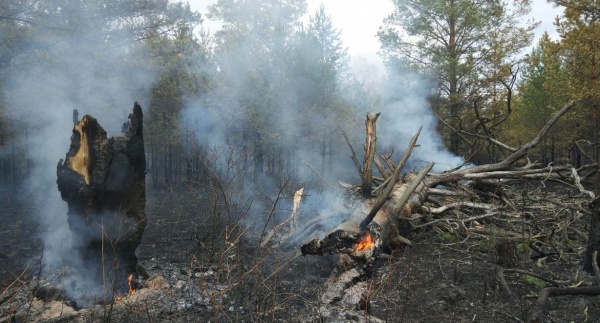 пожар в нацпарке Зигальга(2023)|Фото: пресс-служба национального парка Зигальга