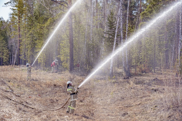 "Транснефть – Сибирь" с 6 по 9 мая ликвидировало четыре природных пожара(2023)|Фото: "Транснефть - Сибирь"