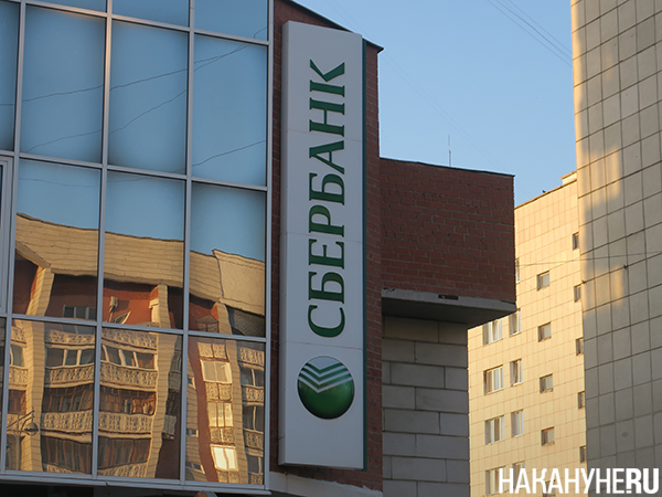 Фото: Накануне.RU