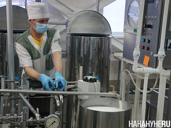 Фото: Накануне.RU Фото: Накануне.RU