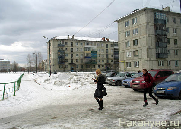 принцип веб камера города радужный котенок