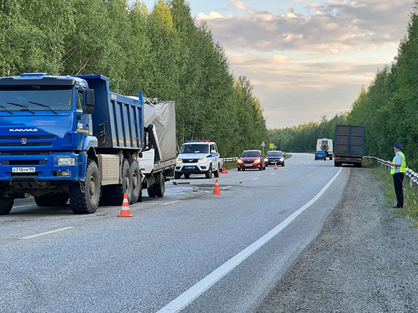 ДТП на Серовском тракте(2023)|Фото: УГИБДД по Свердловской области