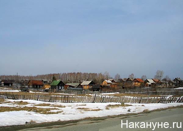 карпушиха | Фото: Накануне.ru