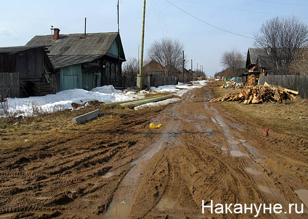 левиха | Фото: Накануне.ru