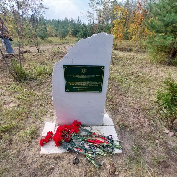 памятник, гвоздики(2023)|Фото: avo.ru