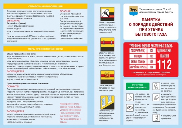 инфографика, бытовой газ(2023)|Фото: admsurgut.ru