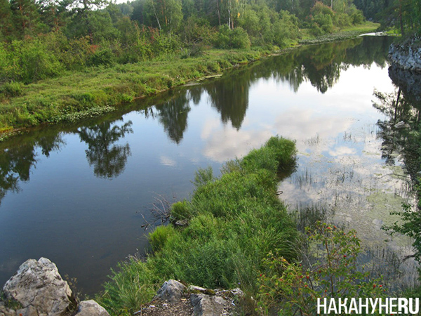 Природный парк "Оленьи ручьи"(2023)|Фото: Накануне.RU