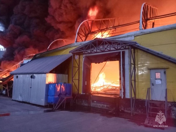 Пожар в городском округе Ленинский Московской области(2023)|Фото: МЧС РФ