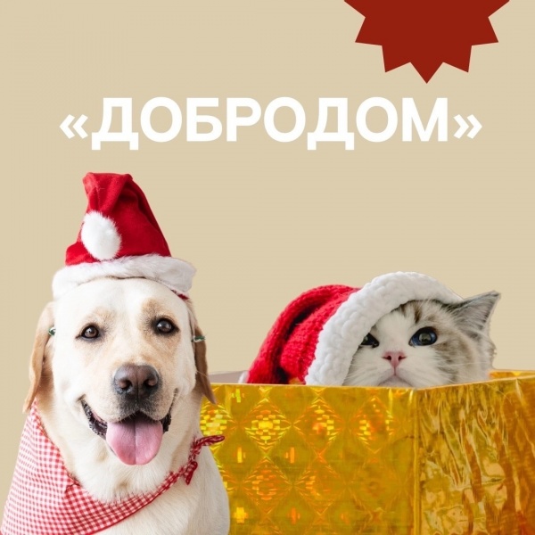 неделя добра(2023)|Фото: admsurgut.ru