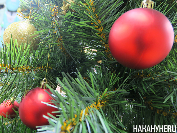 ���������� ������� �� ����(2023)|����: ��������.RU