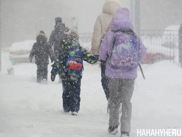 Фото: Накануне.RU