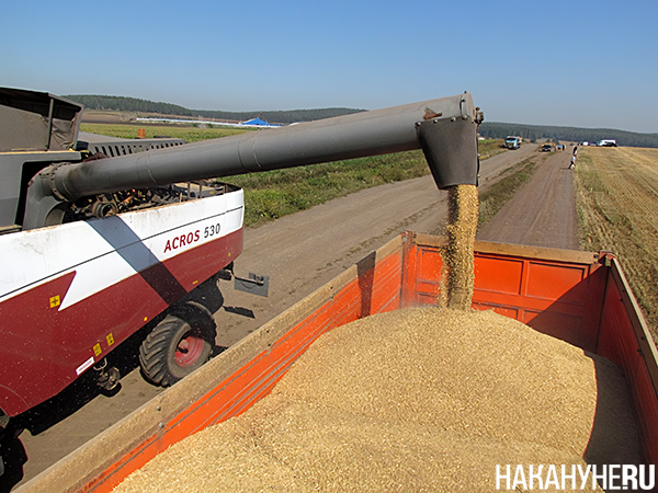 продам за границу. овербукинг причины и способы разрешения в гостинице. самые продаваемые товары. продажи за рубеж. деловой туризм.