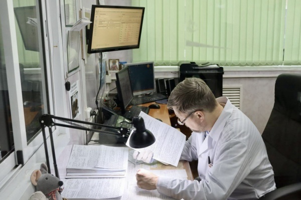 медицина, врач(2024)|Фото: adm44.ru