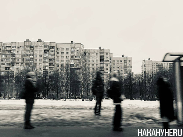 Люди на автобусной остановке в Санкт-Петербурге(2024)|Фото: Накануне.RU