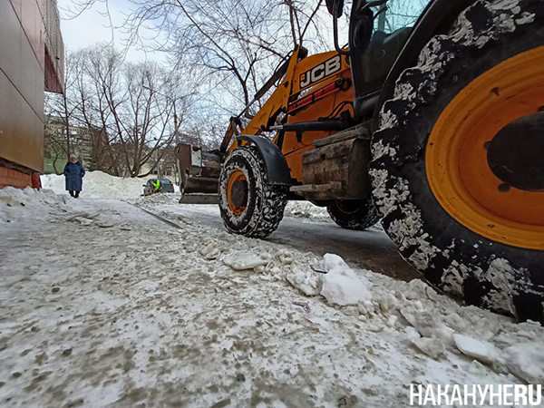 ������ ����� � ����� �� ������ �������������(2024)|����: ��������.RU