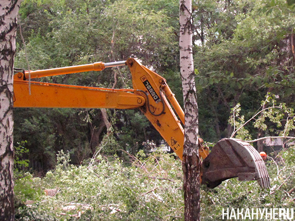 Вырубка деревьев в екатеринбургском Парке Коммунаров в 2015 году(2024)|Фото: Накануне.RU