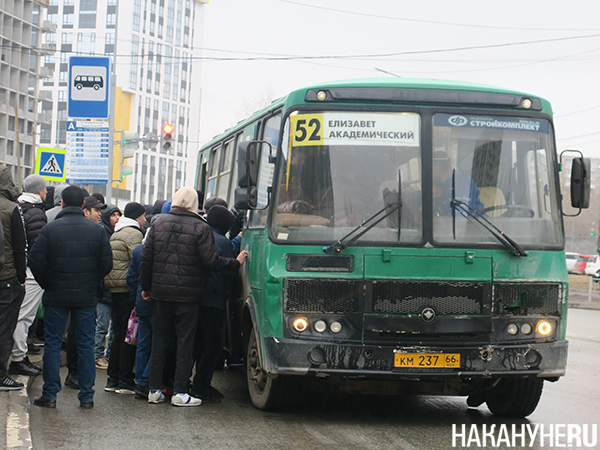 Фото: Накануне.RU