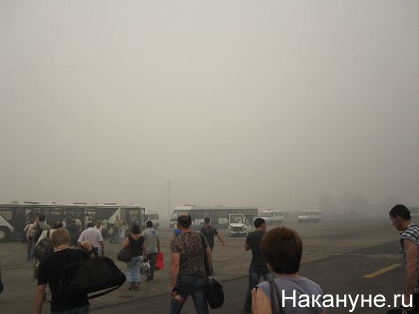 смог дым домодедово летное поле москва | Фото:Накануне.RU