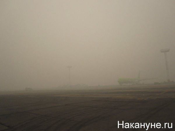 москва смог дым домодедово летное поле | Фото:Накануне.RU