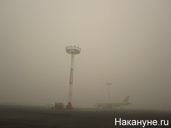 москва смог дым домодедово летное поле | Фото:Накануне.RU