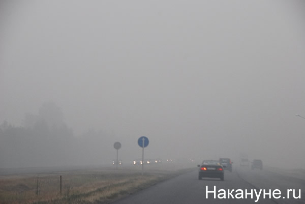 москва смог дым трасса | Фото:Накануне.RU