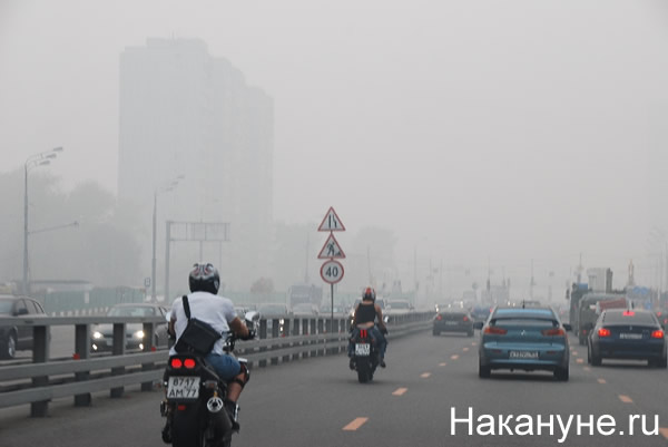 москва смог дым улицы | Фото:Накануне.RU