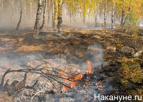 Подземный пожар картинки