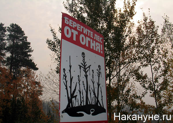 лесной торфяной пожар берегите лес от огня плакат(2010)|Фото: Накануне.ru