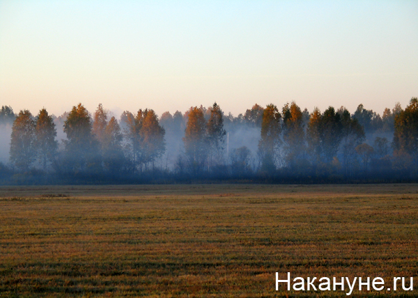 лесной торфяной пожар дым смог(2010)|Фото: Накануне.ru
