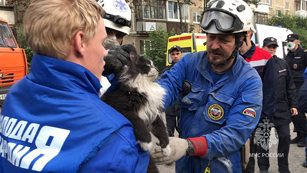 Спасение кота из-под завалов в Нижнем Тагиле(2024)|Фото: МЧС России