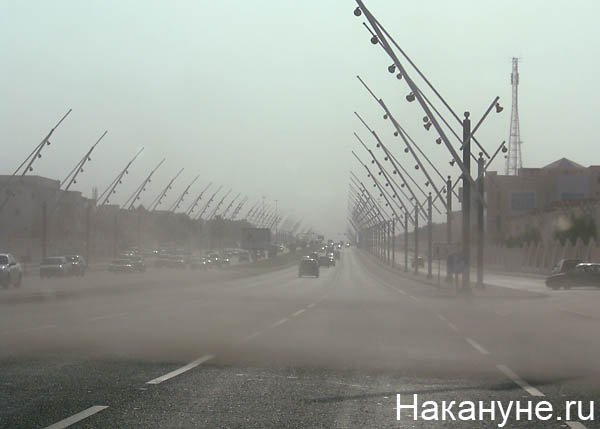 катар доха | Фото: Накануне.ru