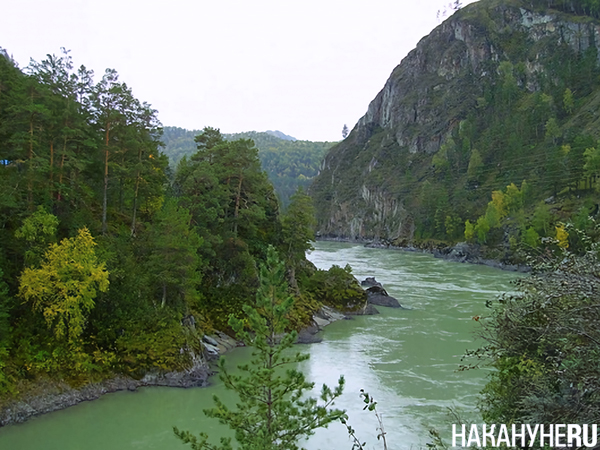 Река Катунь на Алтае(2024)|Фото: Накануне.RU