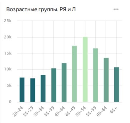          2023 (2024)|: datalens.yandex/gmcx7ab9v6qg4