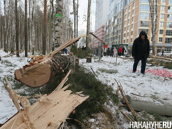 Фото: Накануне.RU