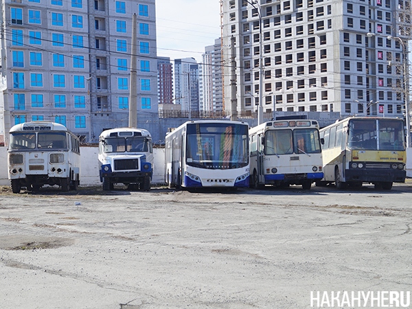 Филиал "Автобусные перевозки" ЕМУП "Гортранс"(2025)|Фото: Накануне.RU