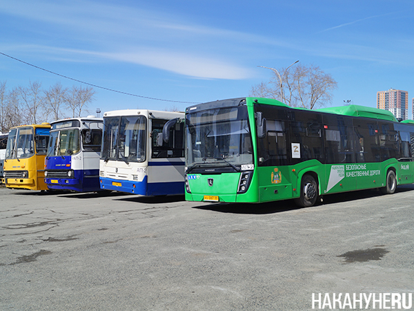 Филиал "Автобусные перевозки" ЕМУП "Гортранс"(2025)|Фото: Накануне.RU