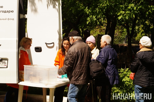 Подопечные фонда "Люблю и благодарю"(2025)|Фото: Накануне.RU Подопечные фонда "Люблю и благодарю"(2025)|Фото: Накануне.RU