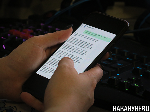 ������� ���������� ����� � ����������(2025)|����: ��������.RU