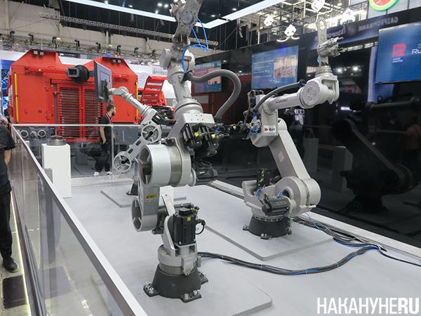     "-2025"(2025)|: .RU