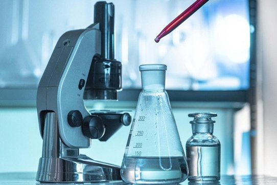 (2025)|Фото: vologda-oblast.ru