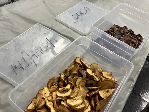 (2025)|Фото: adm44.ru