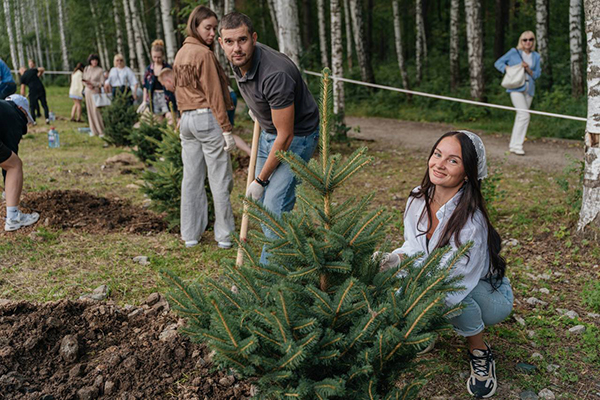   " "          (2025)|:      / .