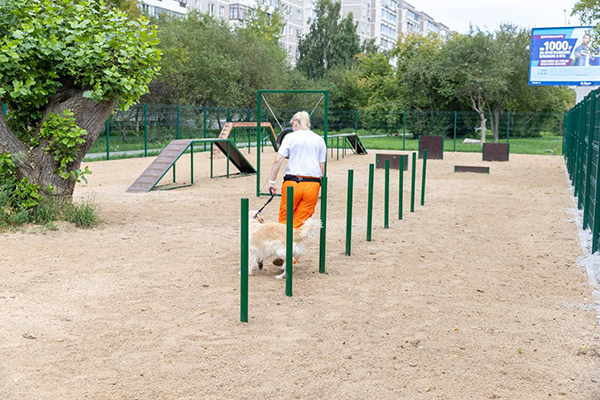 Площадка для выгула собак в Орджоникидзевском районе(2025)|Фото: пресс-служба Алексея Вихарева