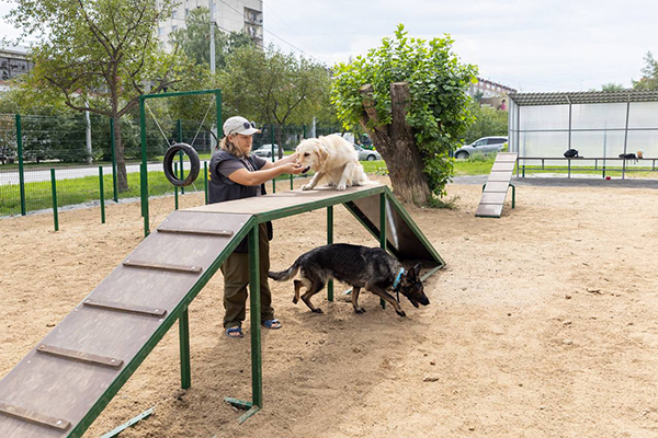 Площадка для выгула собак в Орджоникидзевском районе(2025)|Фото: пресс-служба Алексея Вихарева