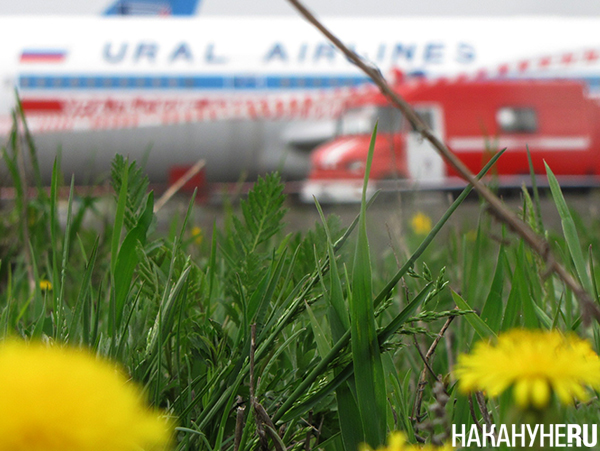 Учения в аэропорту "Кольцово"(2011)|Фото: Накануне.RU